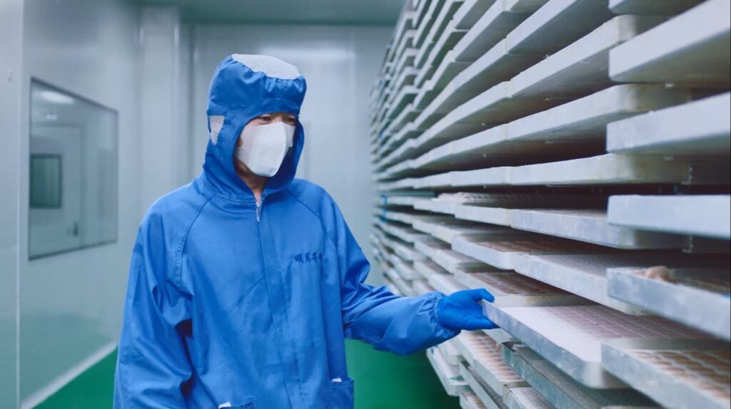 Private Label Dog Treats LazyPet